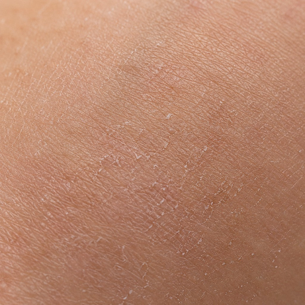 crop-1781124221953.jpg